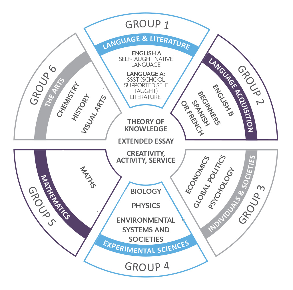 IB DP Curriculum Explained: Structure, Subjects, and Benefits